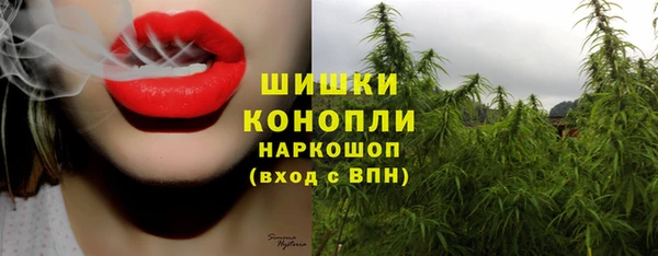 PSILOCYBIN Ладушкин