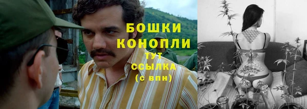 первитин Кукмор