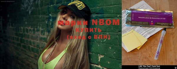 PSILOCYBIN Ладушкин